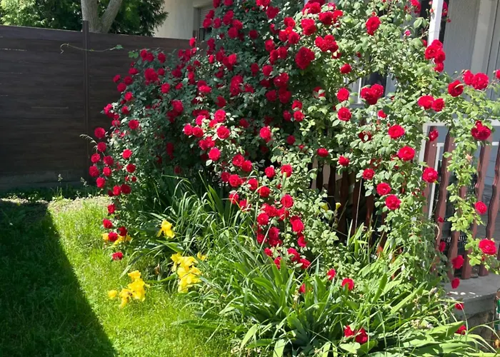 Appartamento Francesco Velence